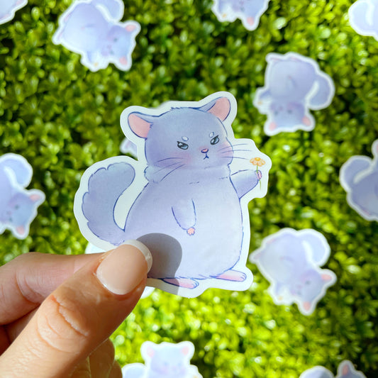 Grumpy Chinchilla