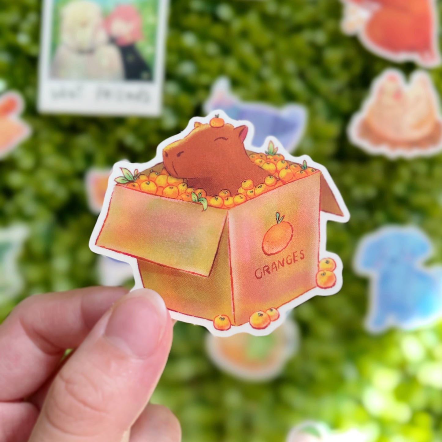 Capybara in Oranges Sticker